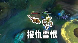 أنثى النمر تهجر دورها كإنسان وتذهب للبرية، والنهاية مريحة جدًا!