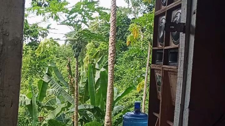 SOUND CHECK D6 MINI SOUND 🎛️❗❗#PLS  FOLLOW ME