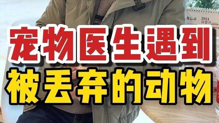 What kind of person would abandon a cat at the doorstep of a vet clinic? Should I save it or let it 