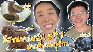 อีสานพาเพลิน พาเที่ยวจตุจักร EP.1