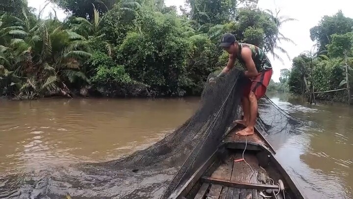 kucing pembawa berkah