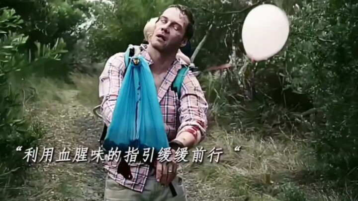 Thịt thối làm mồi, tình phụ làm tín, lấy thân tàn của ta, bảo vệ ngươi vẹn toàn