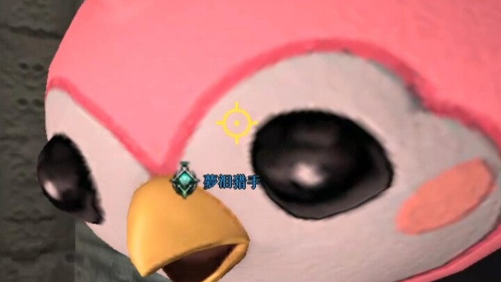 There's something wrong with you bird♂