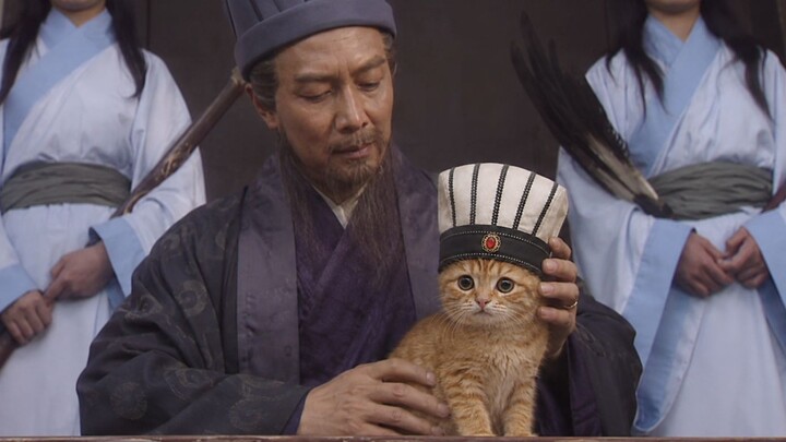 Rencana Kota Kosong ada kucing yang jenuh!