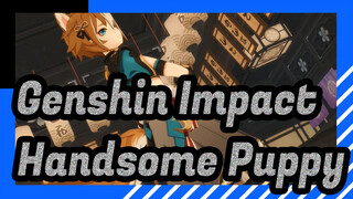 Genshin Impact|[MMD]Handsome Puppy