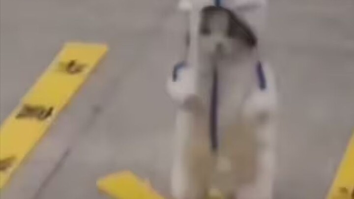 "Having a cat is pointless if you don't play with it!"