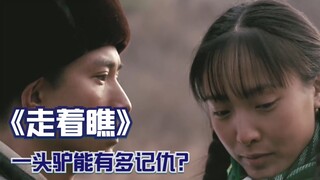 一头驴能有多记仇？人和驴暗暗较劲，人被驴害惨了！3