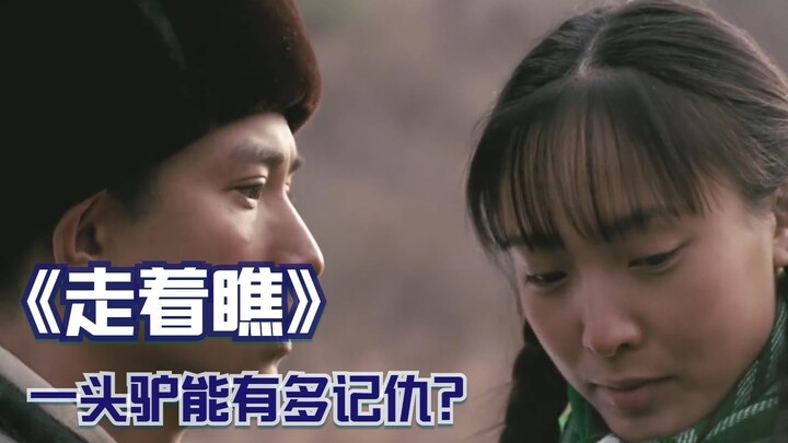 一头驴能有多记仇？人和驴暗暗较劲，人被驴害惨了！3