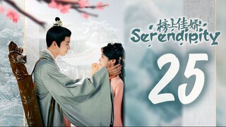 🇨🇳EP 25 | Serendipity (2025) [𝗛𝗔𝗥𝗗𝗖𝗢𝗗𝗘𝗗 EngSub]