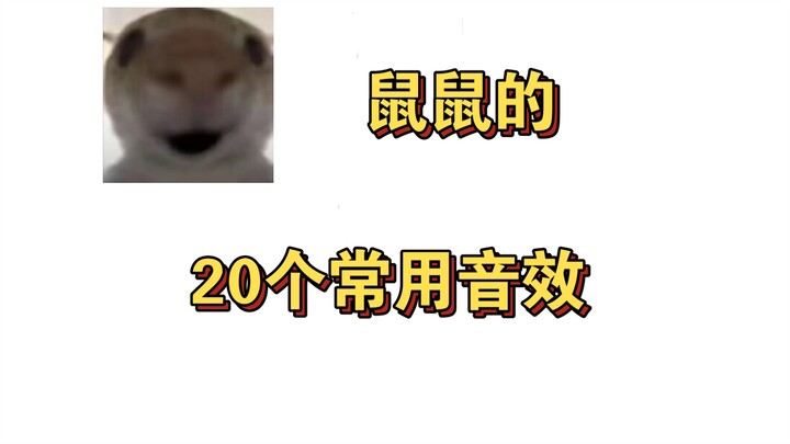 20 hiệu ứng âm thanh thường dùng của Shu Shu
