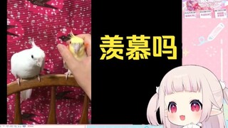 日本萝莉看《嫉妒使我面目全非》跟着摇头晃脑起来 太可爱了哈哈哈