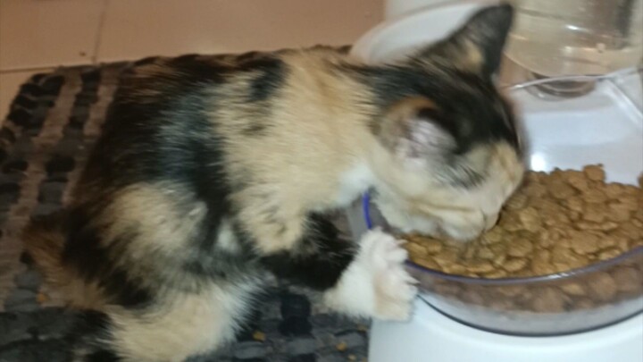 hahaha ayaw pa awat..Galit pa Yan🤣