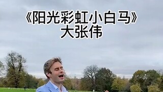 阳光彩虹小白马