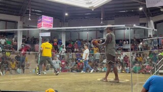 MARCH 4, 2024SIDE: WALABET: 50K-1 COCK FASTESTKILL10 SECONDS#TLCOGameFarm(WIN