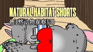 230623《自然动物观察局》- Natural Habitat Shorts