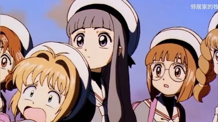 You may not know me, but you must know them in this work [Cardinal Sakura Tucao]