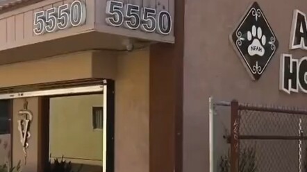 This pet hospital overseas is truly full of love!