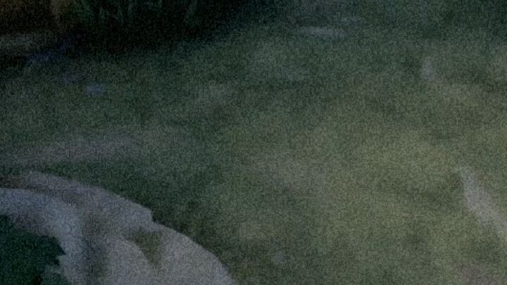🥰❤️
