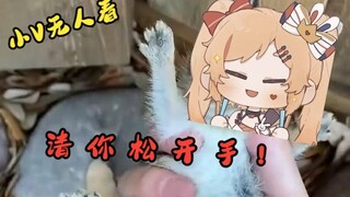 球球你放过我吧！
