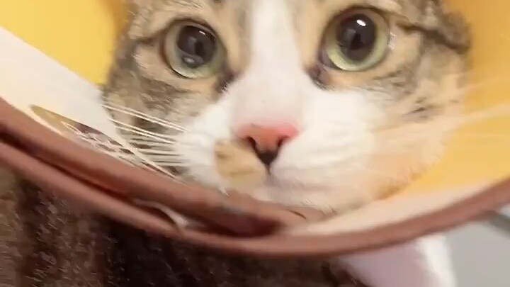 انظر إلى خط اليد