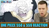 LUFFY VS HORDY! - One Piece Episode 558 and 559 - Rich Reaction