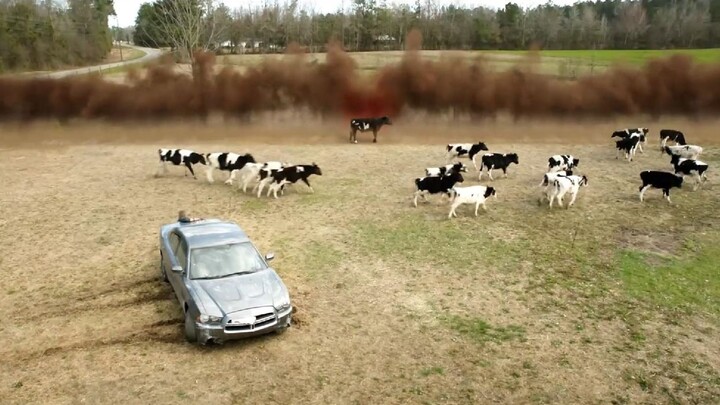 Một con dao vô hình khổng lồ rơi xuống từ trên trời, cắt đôi mọi thứ.