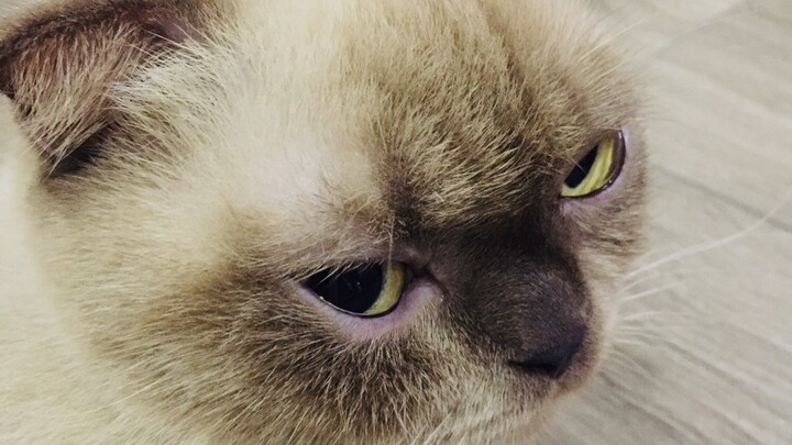 Cũng là cầu thang nhưng nó lạ lắm :)))