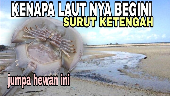 PANTAI GOLD COAST SEPANG SAAT AIR SURUT