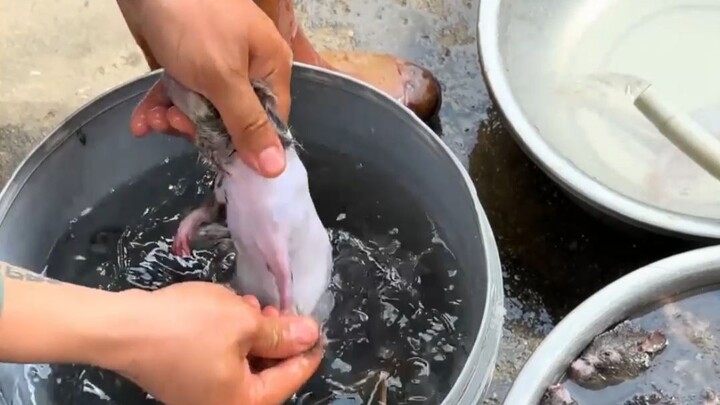 Are Guangdong’s duck necks really the most flavorful?