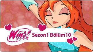 Winx Club - Sezon 1 Bölüm 10 - Domino