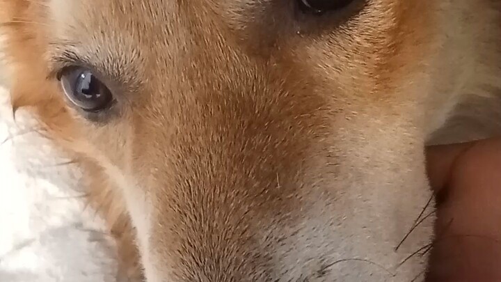 laban lang chow2x wag m kami iwan