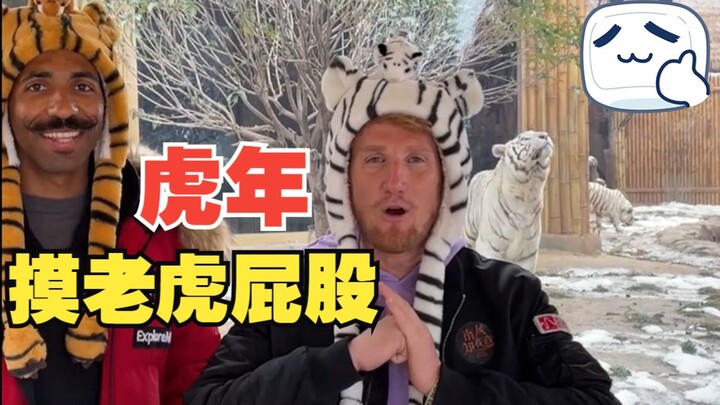 Năm Hổ thì biểu diễn màn sờ mông hổ cho mọi người xem luôn!!!