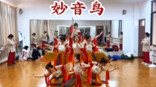 【Beihai Middle School | Sea Soul Young Dance Troupe】High School Dance Club's Dunhuang-style group da
