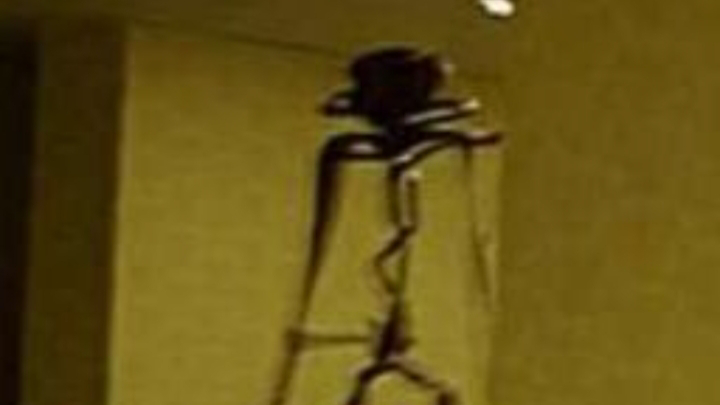 The Backrooms (Found Footage)