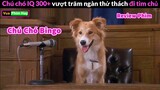 cách Chú chó IQ 300 tìm lại Chủ Nhân - Review phim chú chó bingo