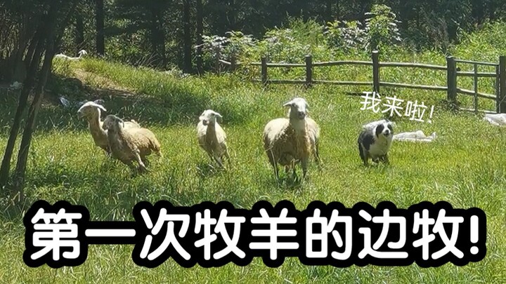 Dòng máu đã thức tỉnh!!!