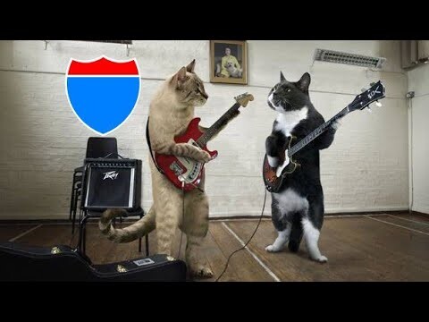 KUCING LUCU TAMPAN JAGO BER GITAR