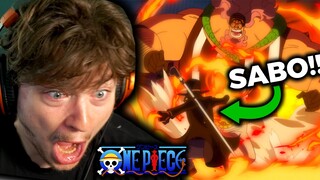 "this time.. I WILL PROTECT LUFFY!!!" (One Piece Reaction)