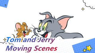Tom and Jerry|A sticky little puppy came to the house and Tom was really kind