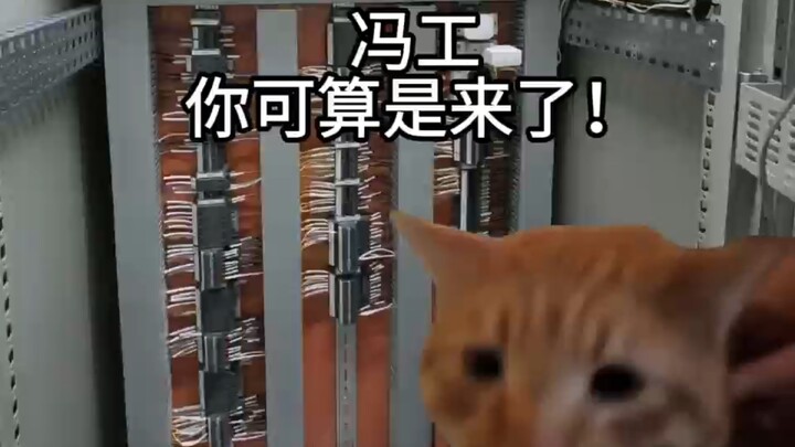 Những trường hợp lố bịch mà kỹ sư điện gặp phải khi đi công tác: Thế giới đúng là một “đoàn kịch sân