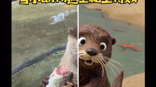 When small animals meet clay special effects