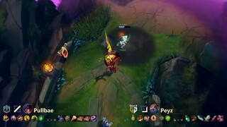 Korea Challenger - Pro Plays Highlights!!! #4