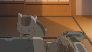 Cat teacher: Humph, I don't plan to take care of Natsume (tsundere face)