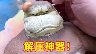 这“解压神器”确定不是来搞笑的吗？