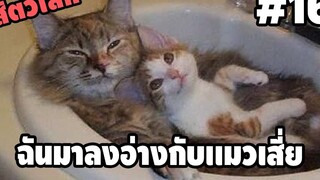 รวมคลิปตลกๆ : เป็นเด็กเสี่ยหนึ่งวันละกัน!!