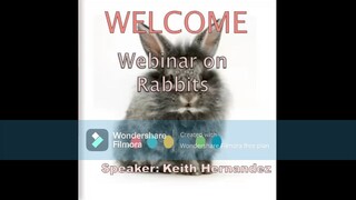 Webinar On Rabbits "Introduction Selecting The Breeds Housing And Equipment" Day 1