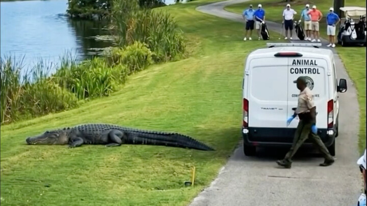 Florida doesn’t keep idle fish.