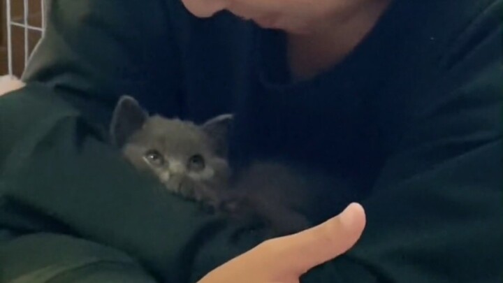 A tough guy falls in just three seconds!