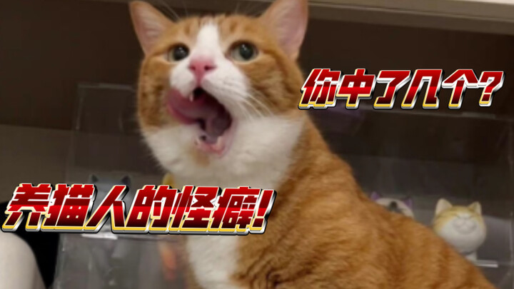 Cat owners’ quirks—how many do you relate to?