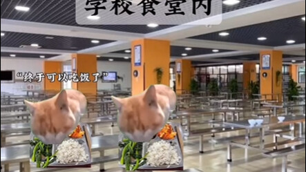 "ما يحطمونه ليس الكافيتيريا، بل نضالهم ضد الرأسمالية."